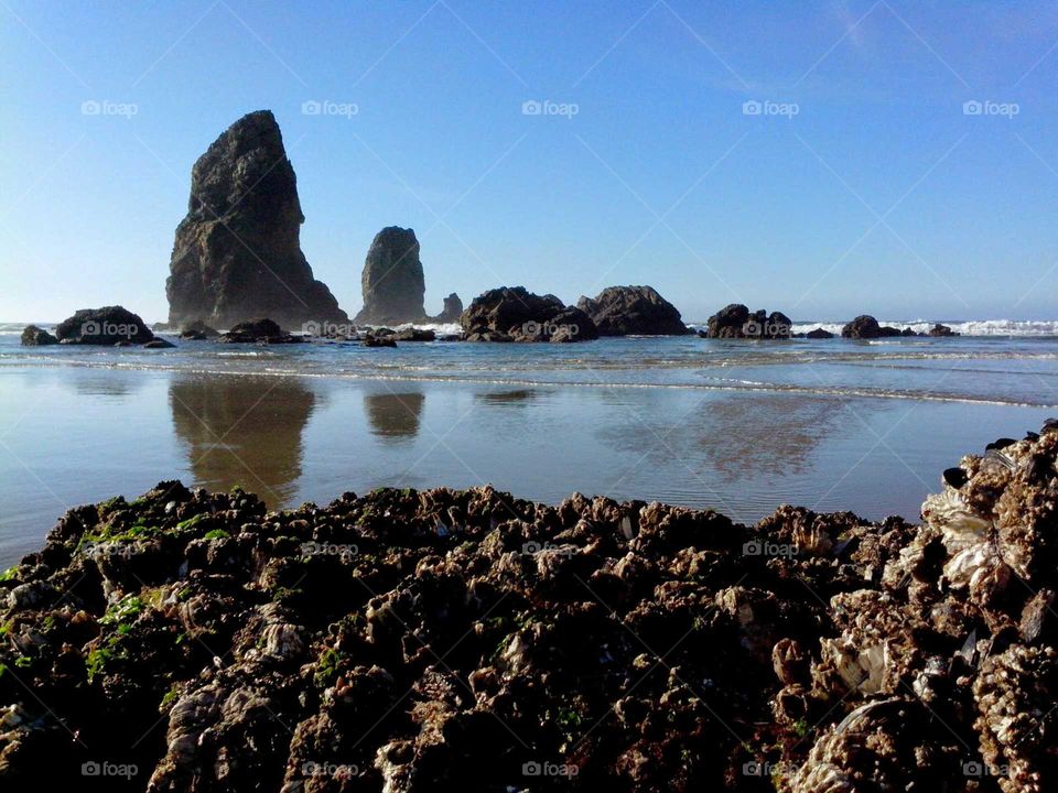 An image of giant nature creations on Cannon Beach in Oregon.
