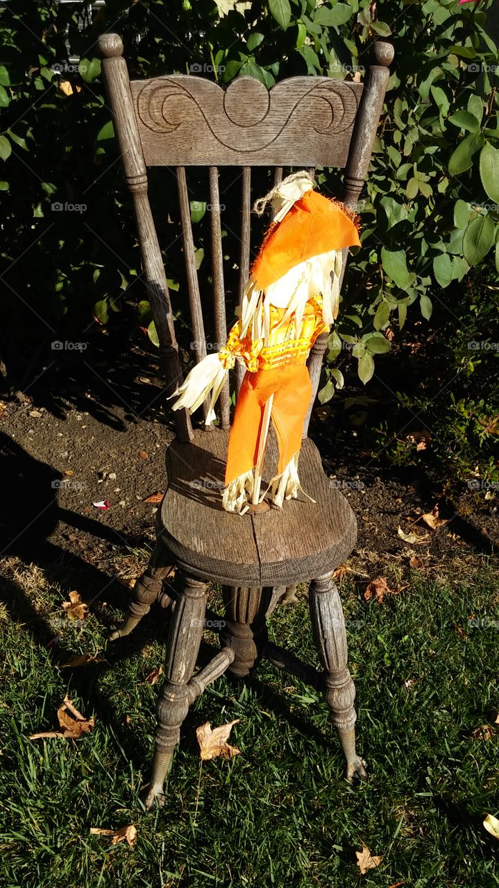 front yard decor. my MarkSarden in Fairfield California