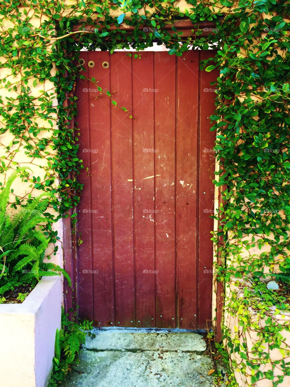 Wooden Door