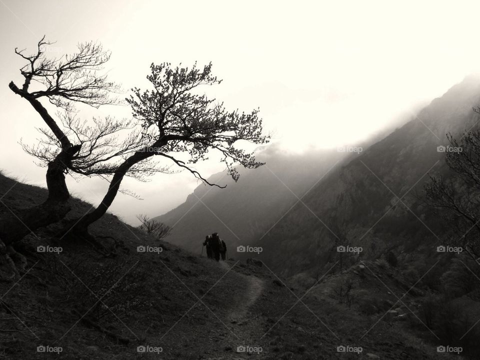 Mountains in fog, people in mountains, tree, nature