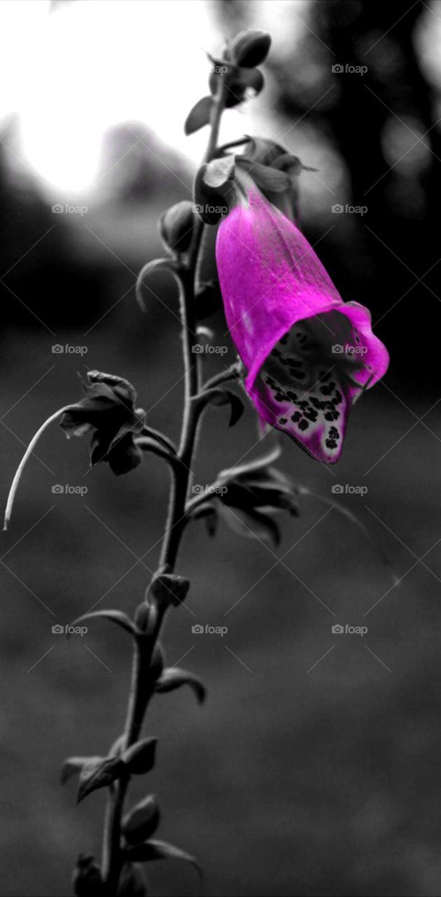 Splash of this, splash of that.