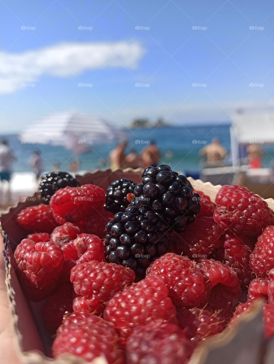 Battle: Summer vs. Spring. raspberries, mulberries, blackberries. summer, beach, rest, relaxation, sunny beach,