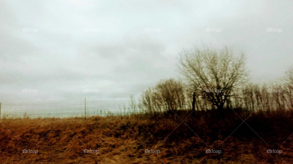 January Winter Day 2017