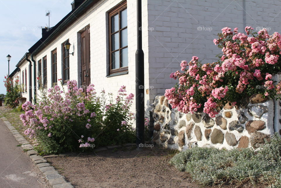 Houses in Borstahusen, Skåne Sweden.