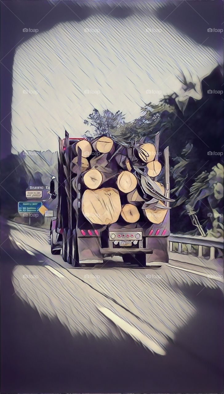 truck with logs
