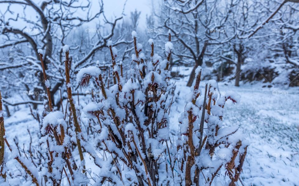 signs of winter