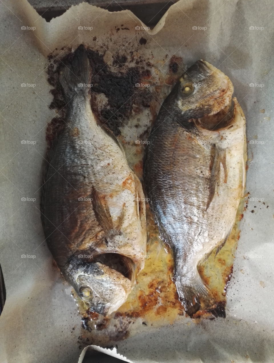 gilt-head (sea) bream baked