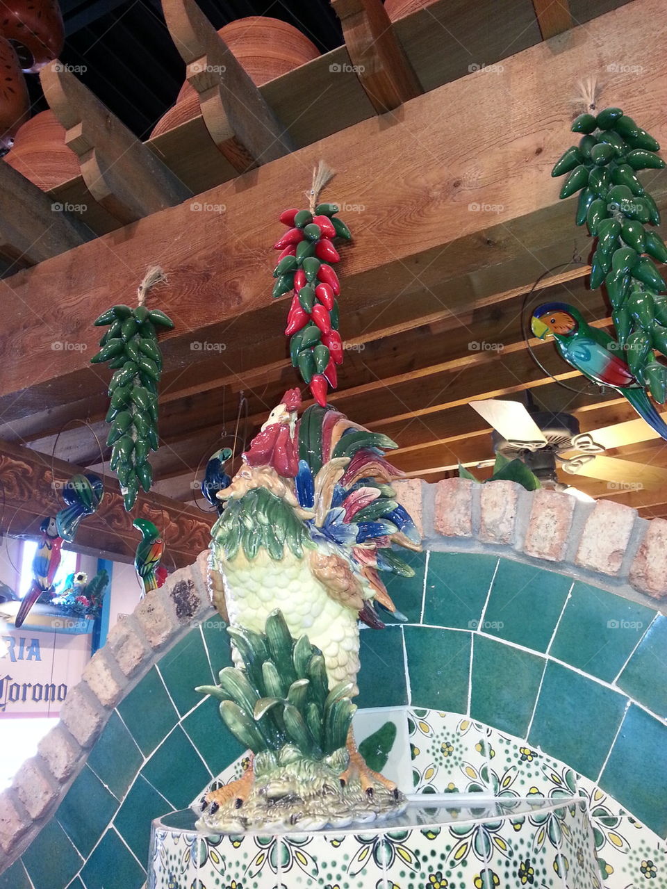 El Pollo Multi-Colored