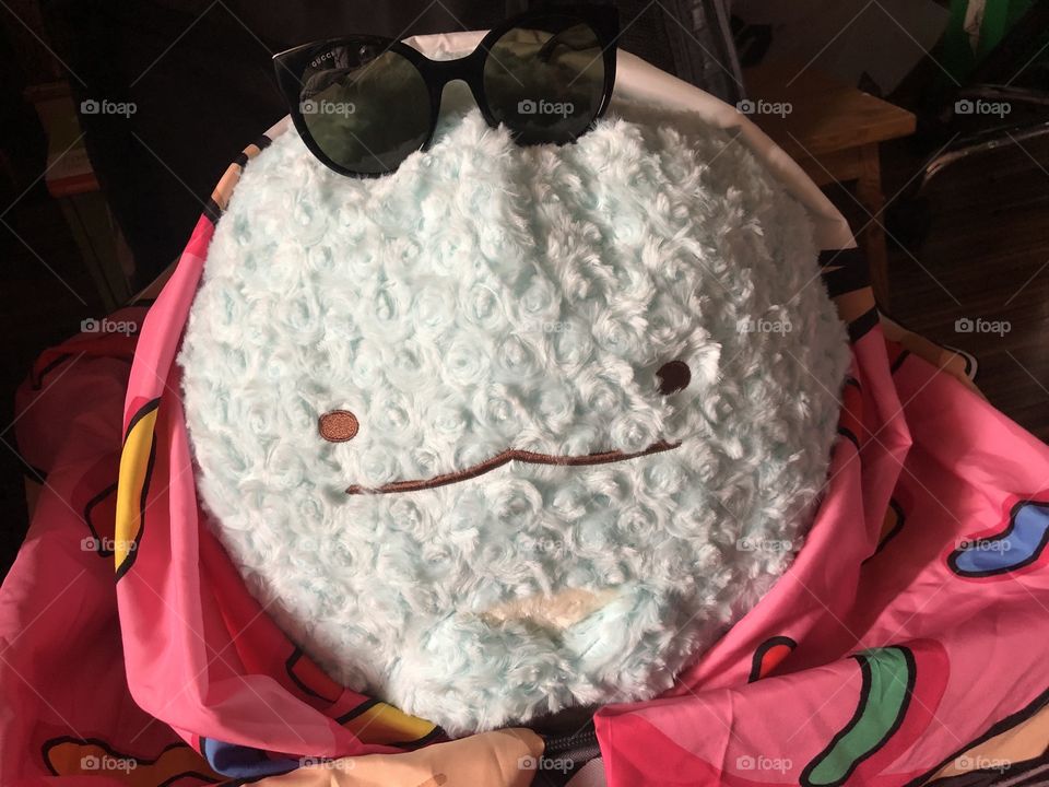 Gurashi on the move 💕