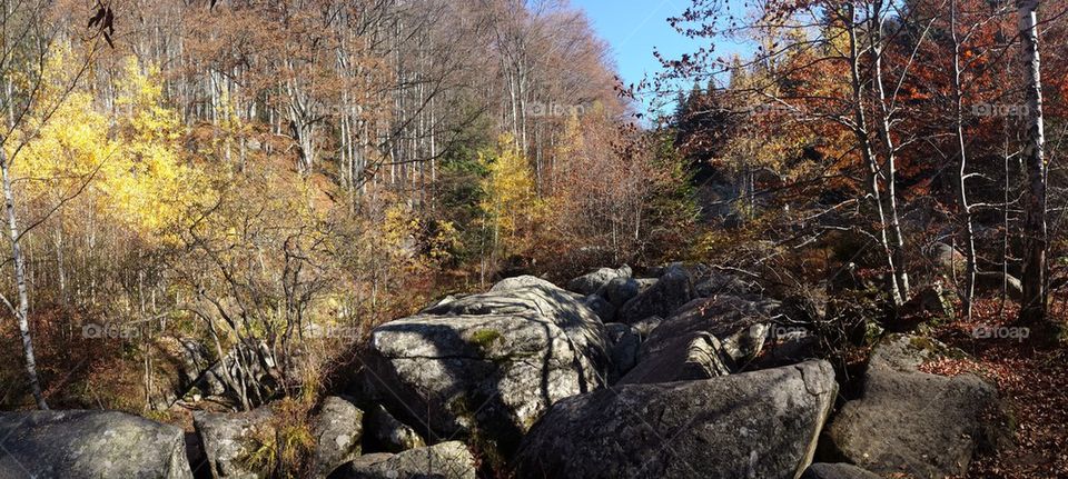 Autumn panorama