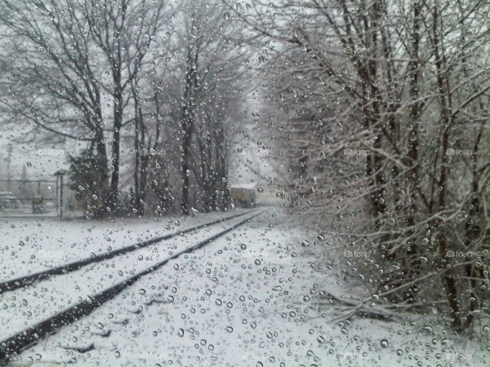 snow trees storm track by delvec