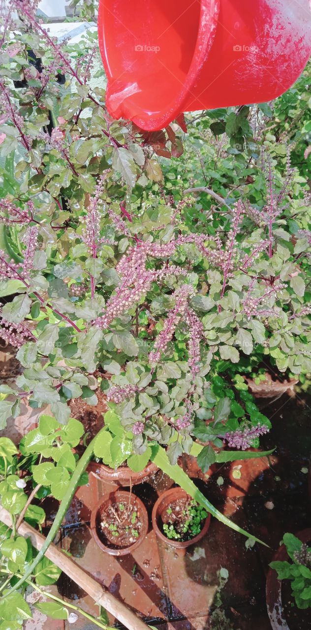 Routine and habits of daily life