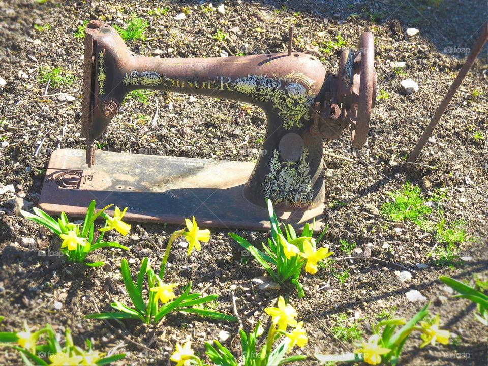 Singer on soil