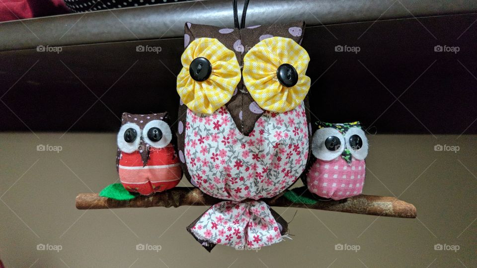 Owls craft