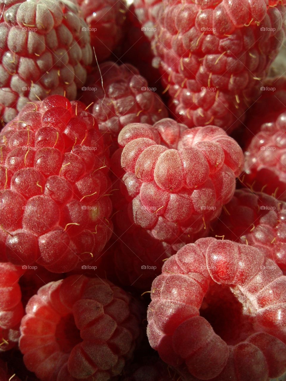 Raspberries