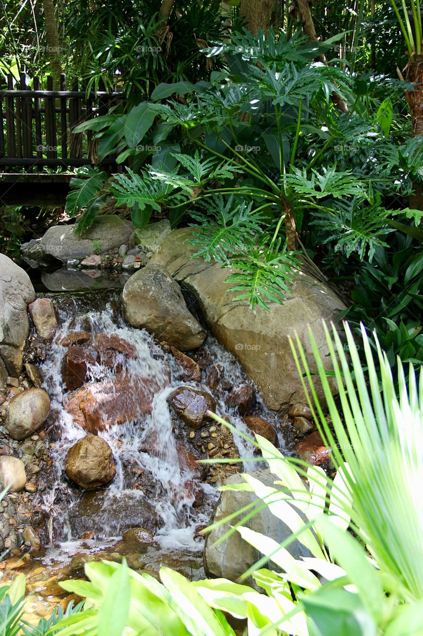 Waterfall in tropical park 