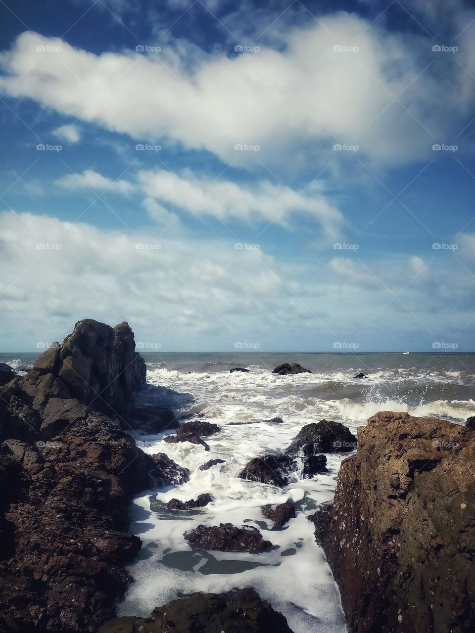 photography pictures of trees, mountains, cloves, rocks, sky, sea, sea