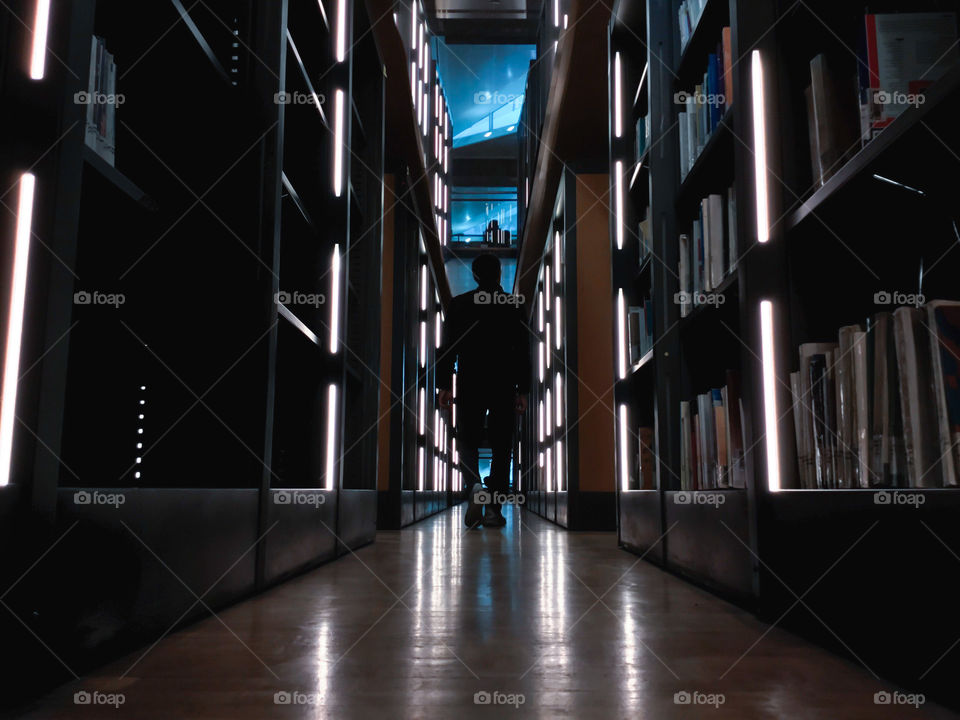 Towards the blud horizon in the library of alexandria, egypt