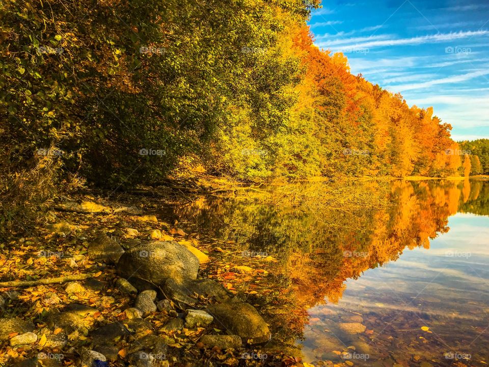 Reflection of autumn trees on lake