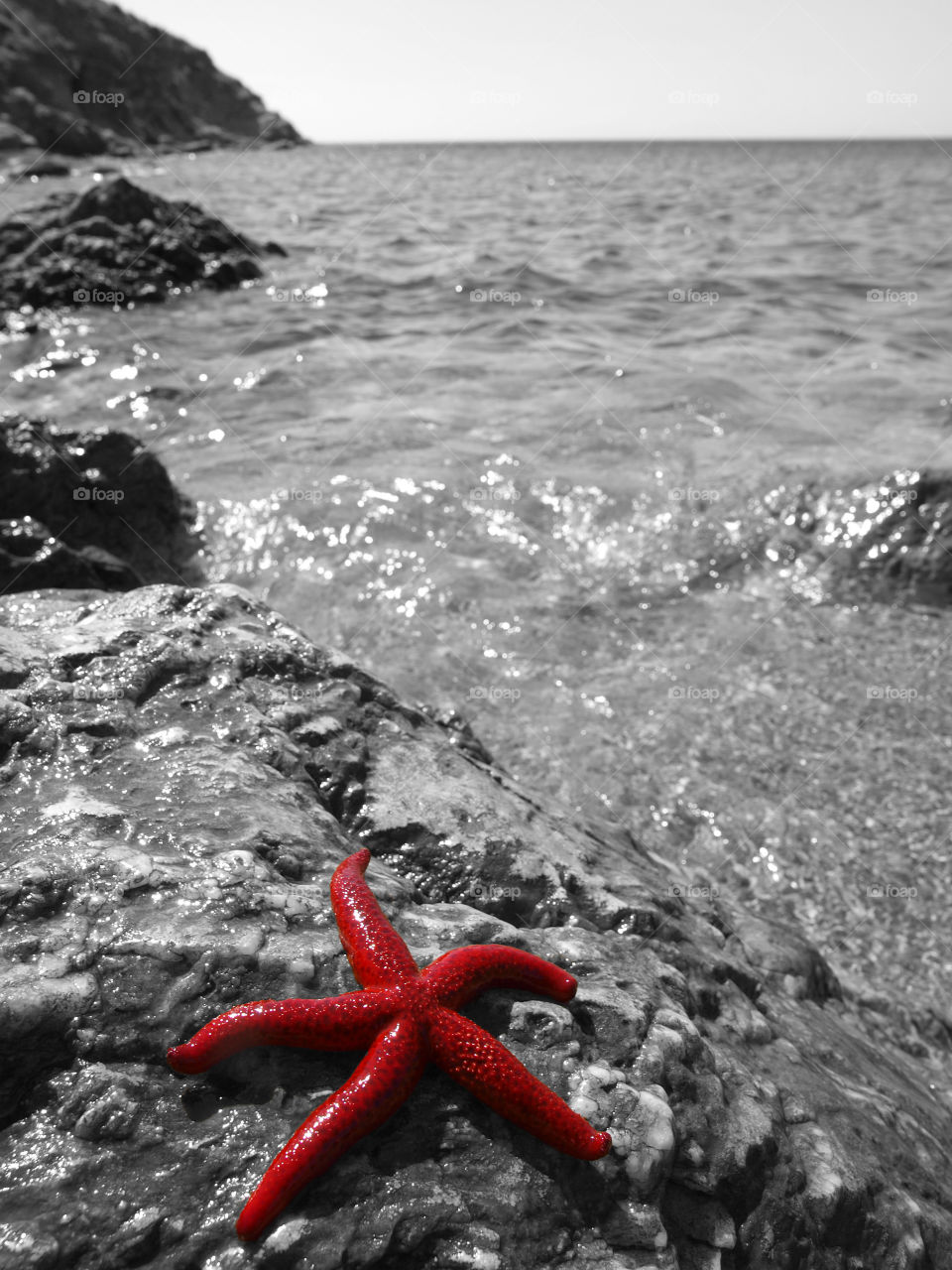 beach nature red sea by tsaras70