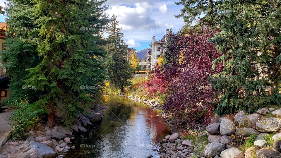 river in fall