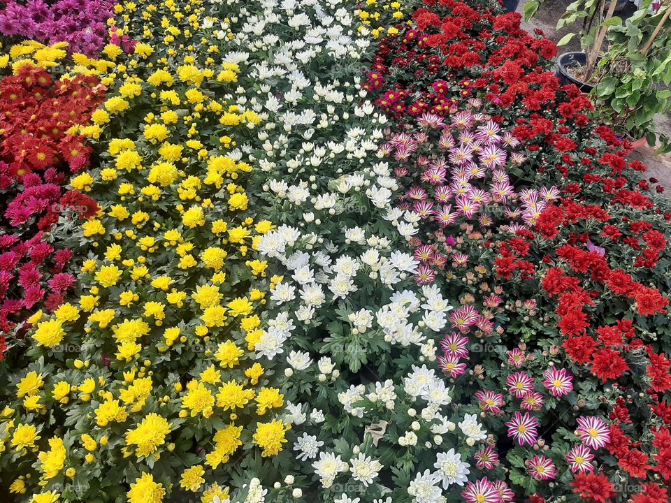 Please make me happy, I am poor, I need your help with support