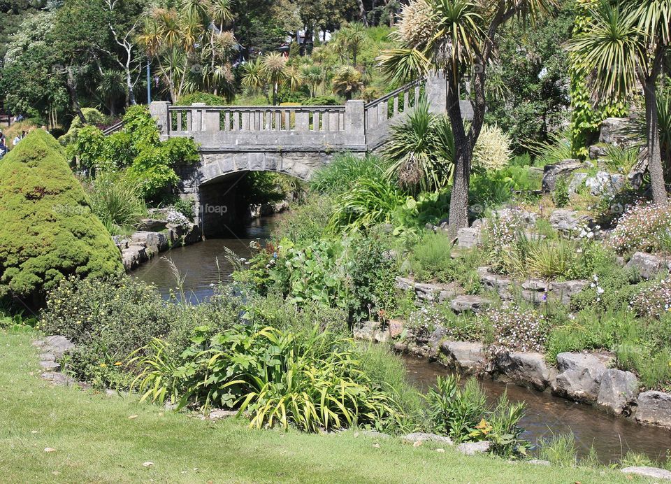 Bridge in park