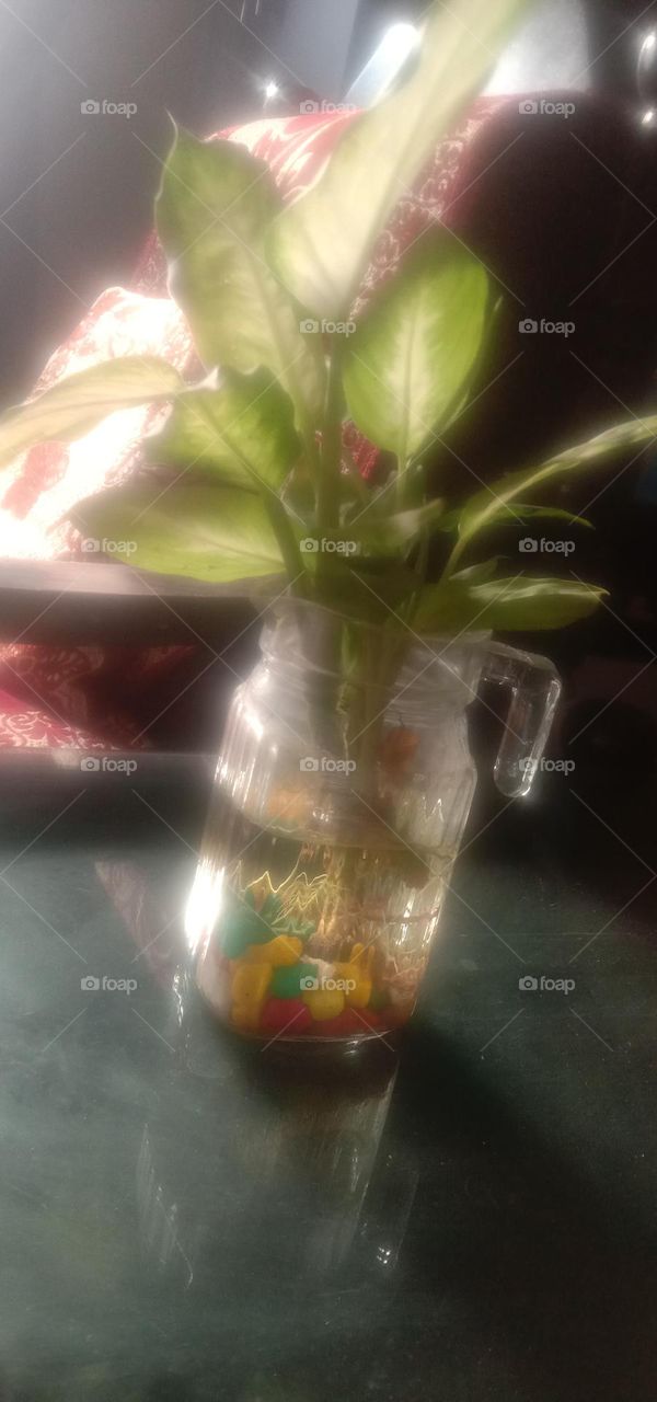 that rainbow stones 🌈🦄❤️✨