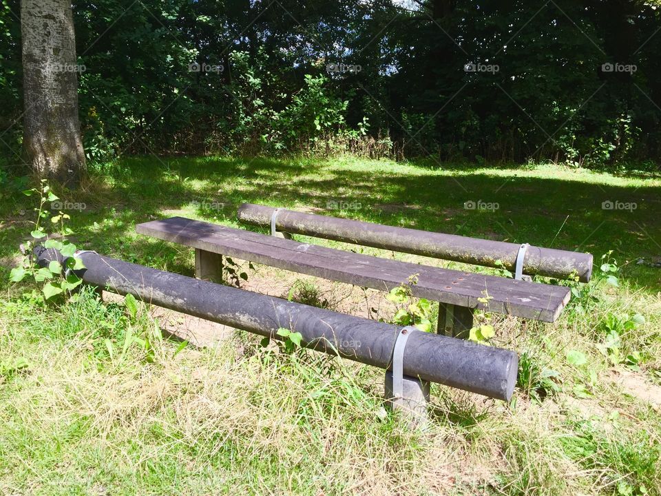 Empty bench in forest