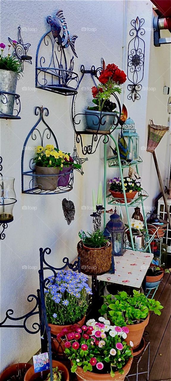 This facade of a bungalow in “Bavaria”, Germany is beautifully decorated with cast iron hanging shelves and baskets for potted plants and flowers in full bloom as they should be this time of year which is springtime. 2024. Hypnotic Productions