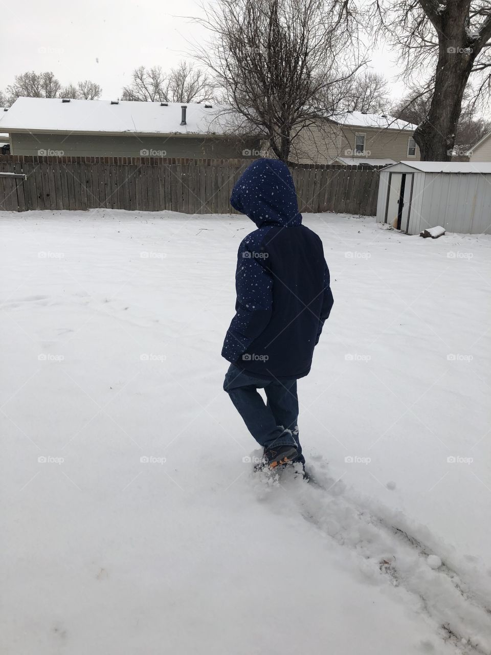 Walking in the snow