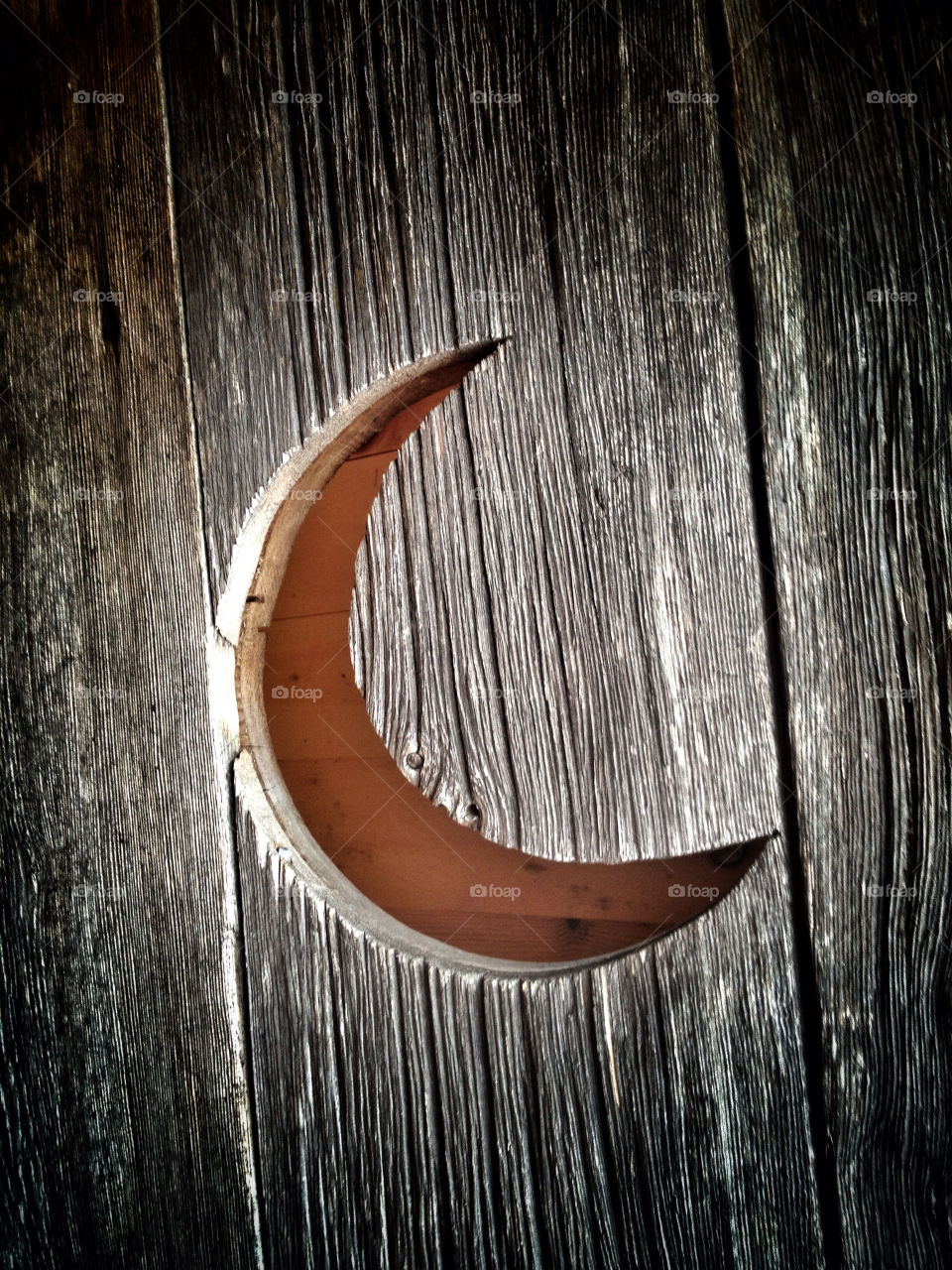 An outhouse in the middle of the woods