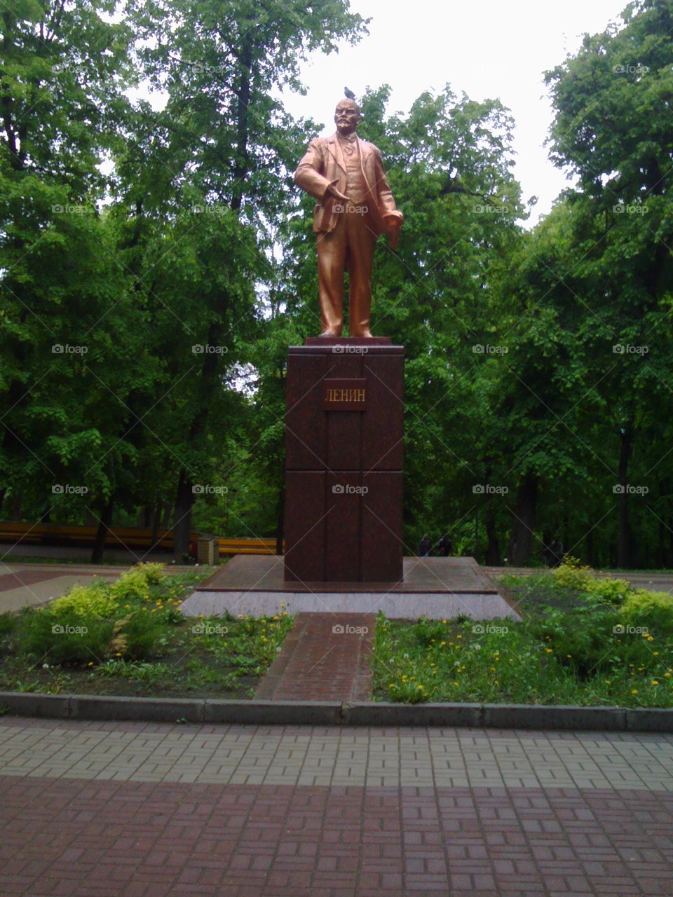 View of statue in park