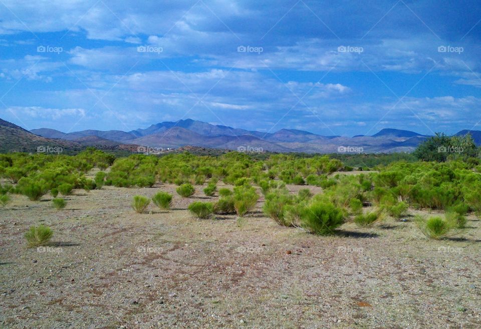 Desert View in Globe AZ