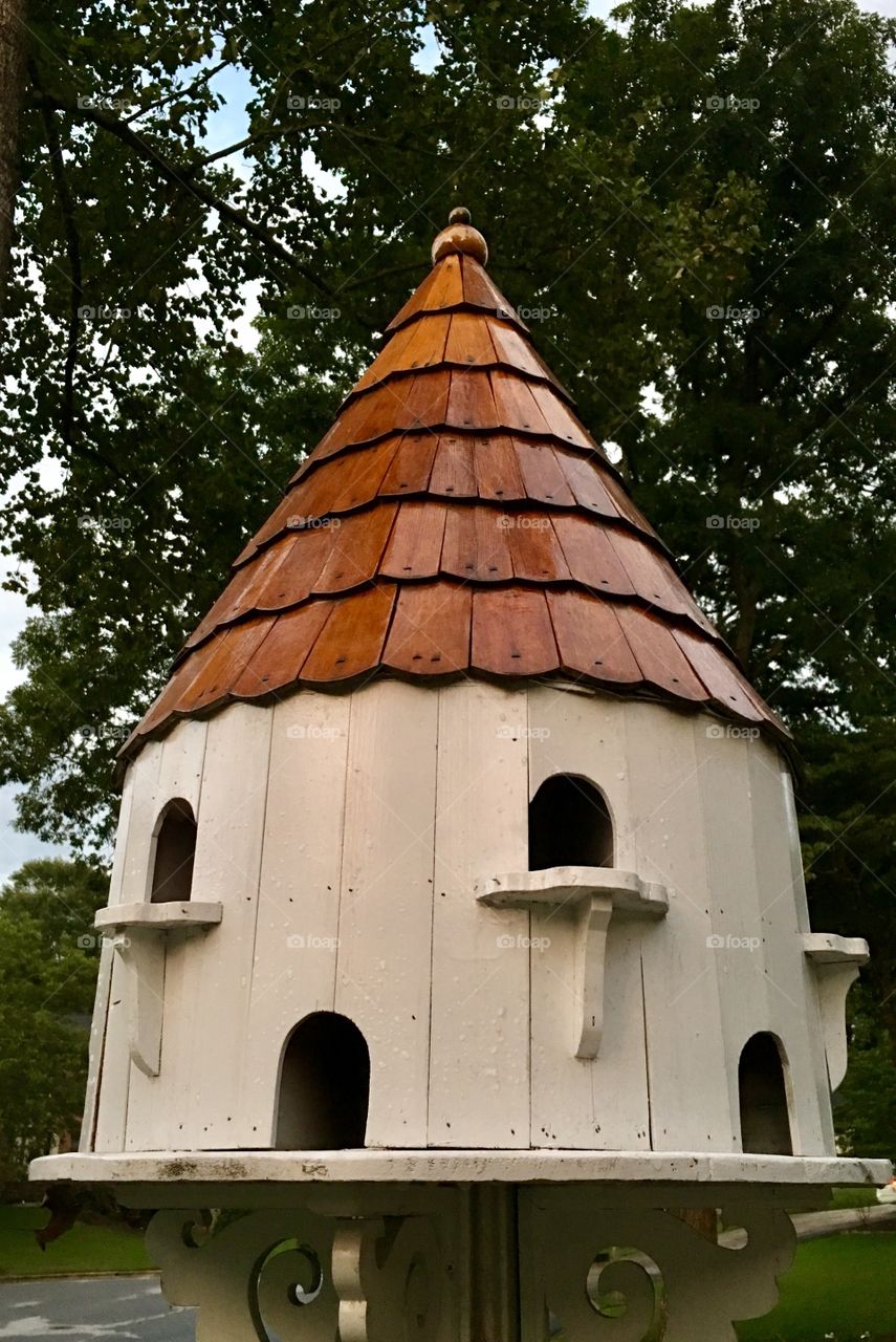 Wooden bird house.