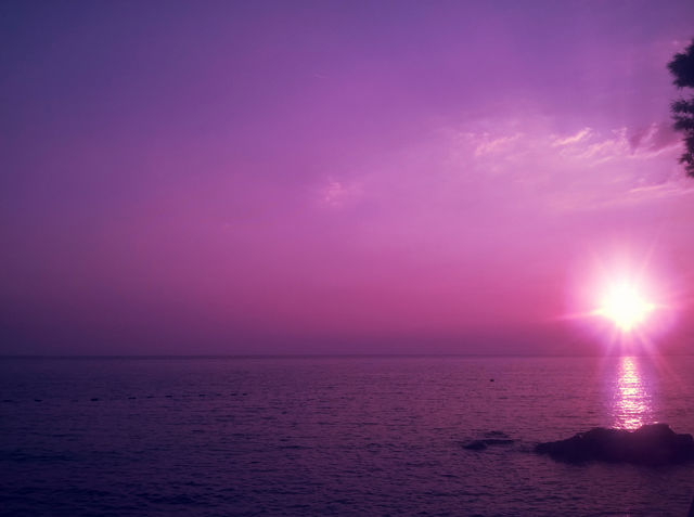 pink sunset and sea. horizon