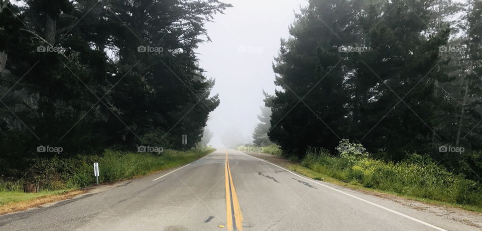 Pacific Coast Highway in the fog - Big Sur CA