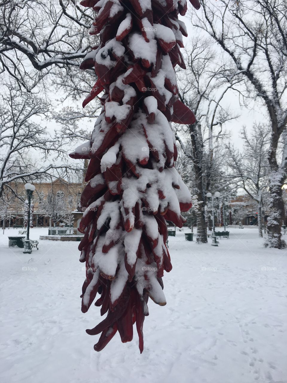 Frozen Ristras 