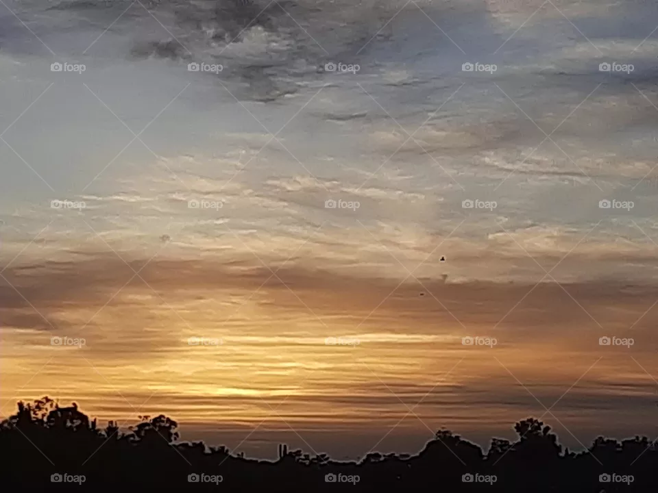 The magic touch of nature!