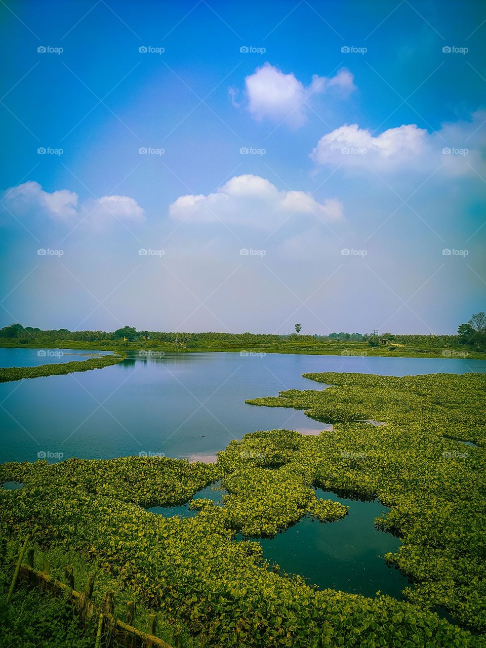 amazing lake view hd