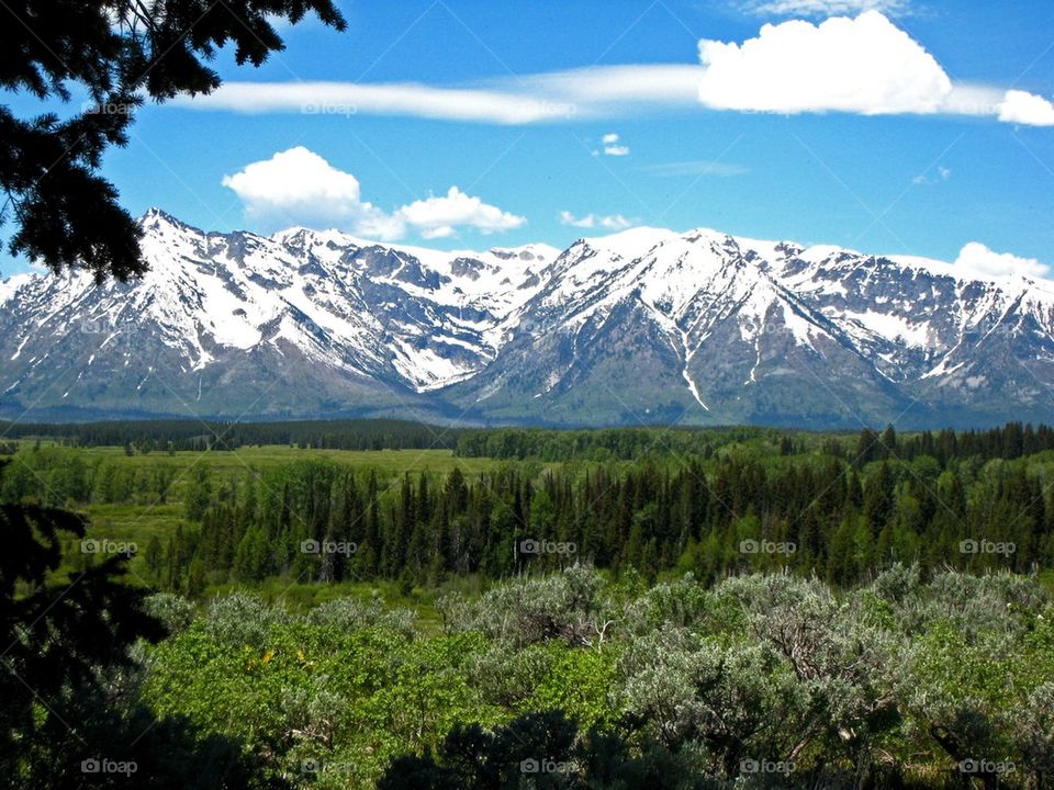 Grand teton national park