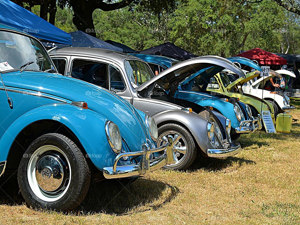 A lineup of German Volkswagen Bugs on display