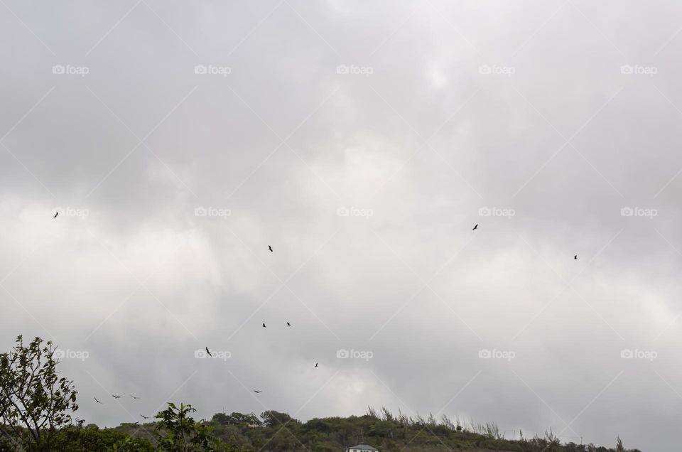 Cloudy Sky