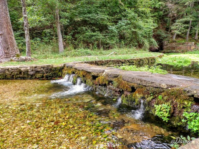 Nature's Bridge