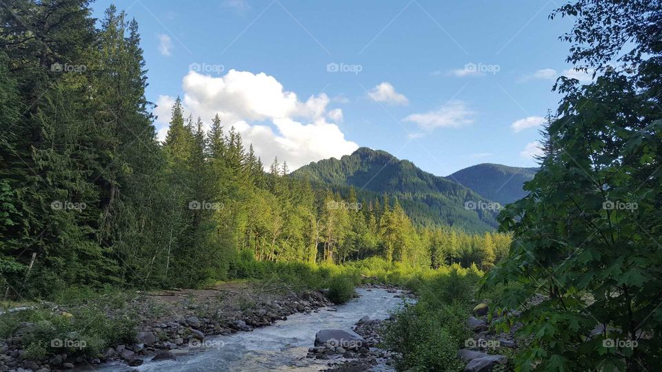 Landscape, Nature, Wood, No Person, Water
