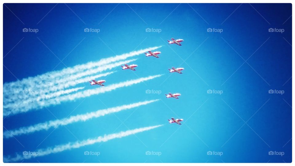 snowbirds of Canada 06