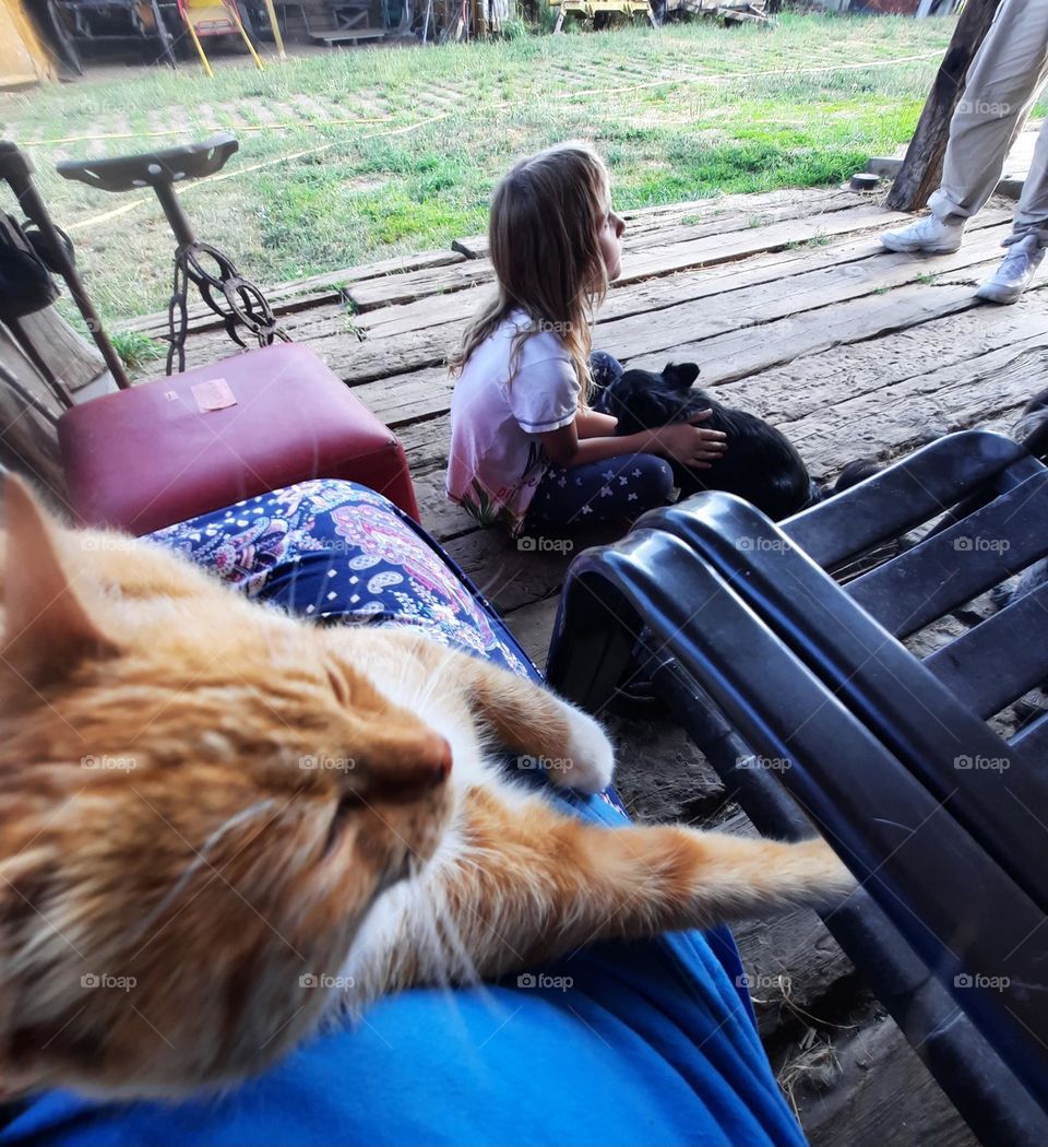 moment of happiness : little girl and animals