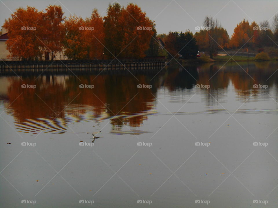 Reflection, Water, No Person, Lake, River