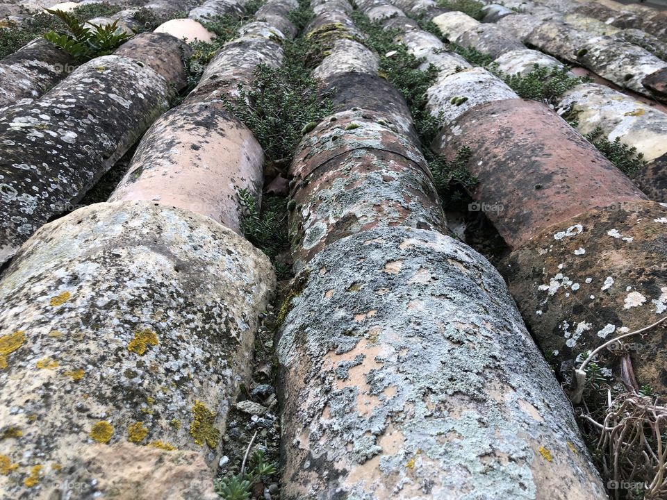 View over a rustic italian roof tiles with lichens and moss
