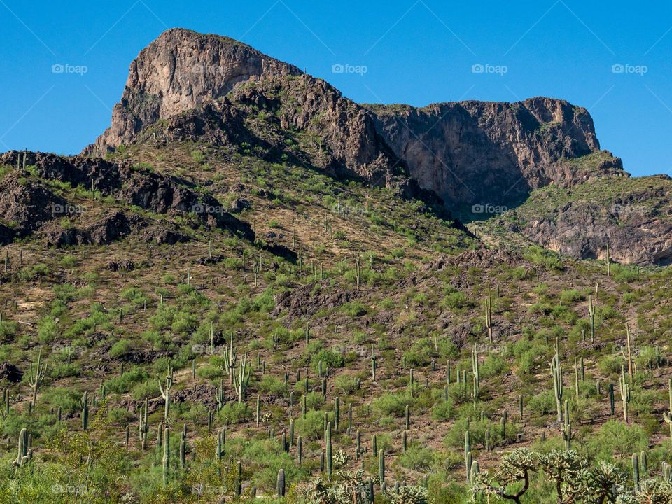 Picacho Peak stands tall above the desert floor between Phoenix and Tucson Arizona